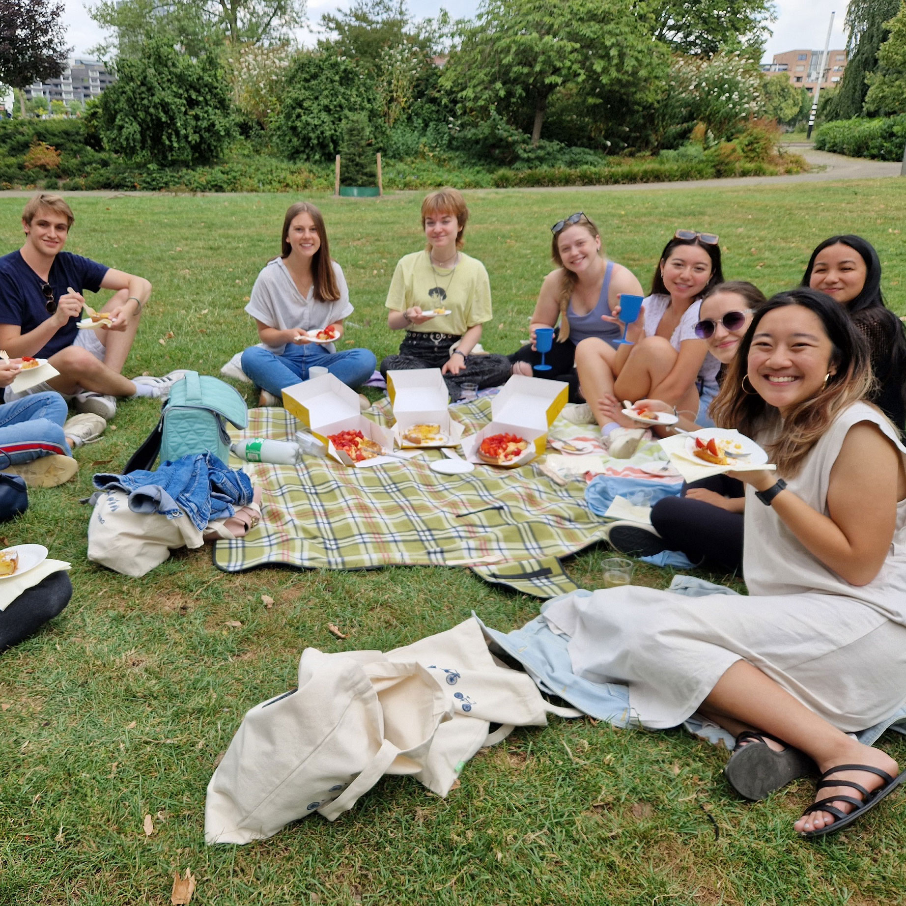 'Vlaai' picnic in the city park